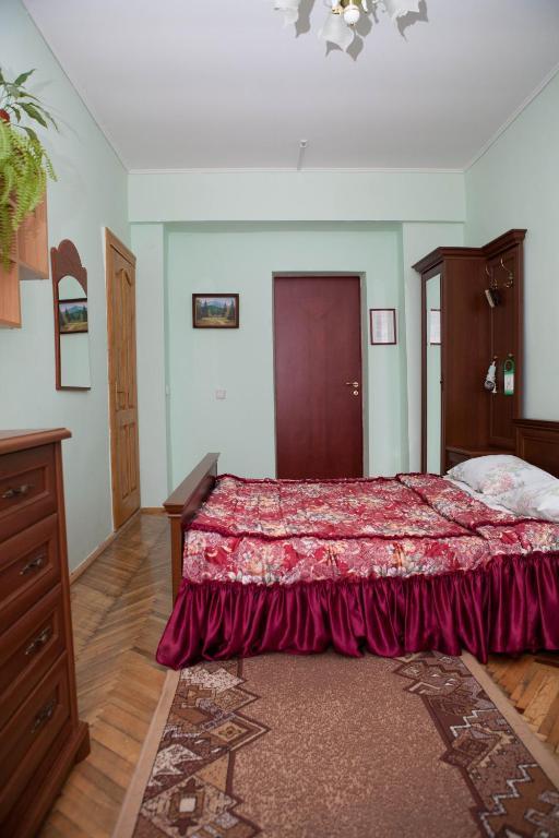 Ялинка Готель Vyshkiv Стая снимка